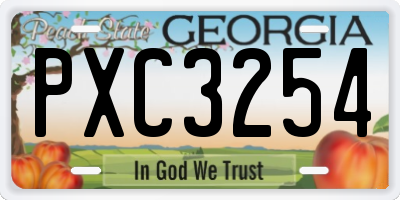 GA license plate PXC3254