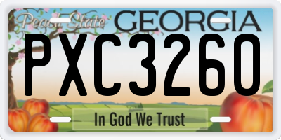 GA license plate PXC3260