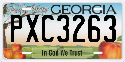 GA license plate PXC3263