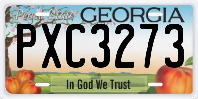 GA license plate PXC3273