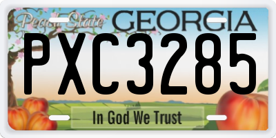 GA license plate PXC3285