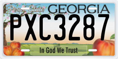 GA license plate PXC3287