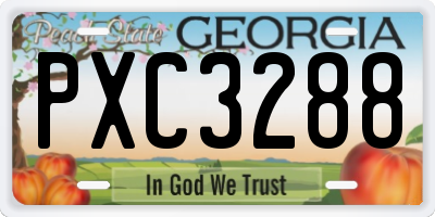GA license plate PXC3288