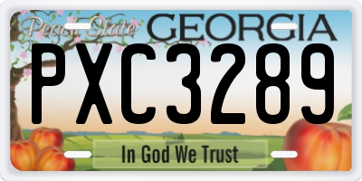GA license plate PXC3289