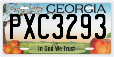 GA license plate PXC3293