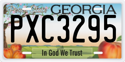GA license plate PXC3295