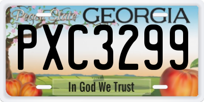 GA license plate PXC3299