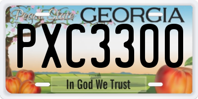 GA license plate PXC3300