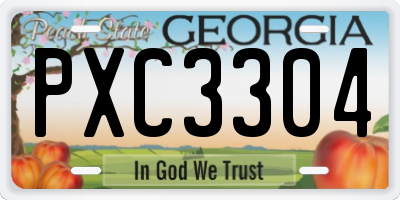 GA license plate PXC3304