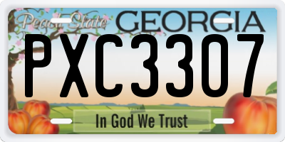 GA license plate PXC3307