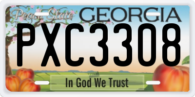 GA license plate PXC3308