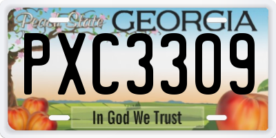 GA license plate PXC3309
