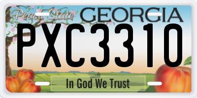 GA license plate PXC3310