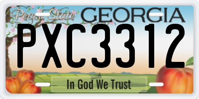 GA license plate PXC3312