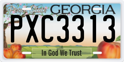 GA license plate PXC3313