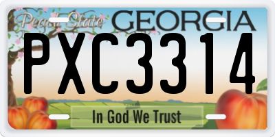 GA license plate PXC3314