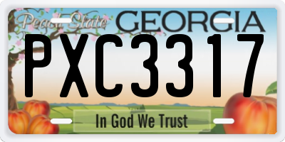 GA license plate PXC3317