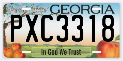 GA license plate PXC3318