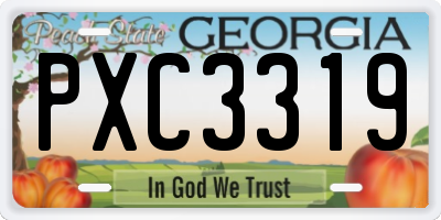 GA license plate PXC3319