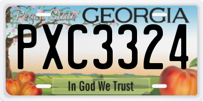 GA license plate PXC3324