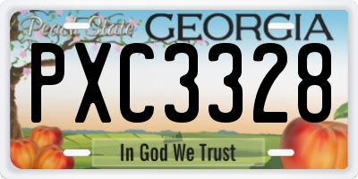 GA license plate PXC3328