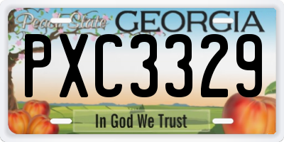 GA license plate PXC3329