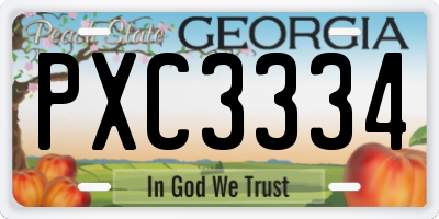 GA license plate PXC3334