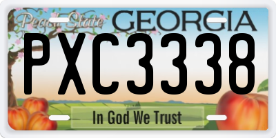 GA license plate PXC3338