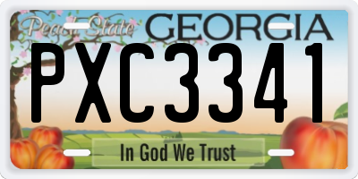 GA license plate PXC3341