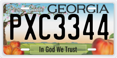 GA license plate PXC3344