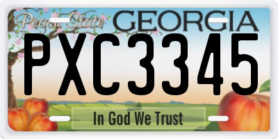 GA license plate PXC3345
