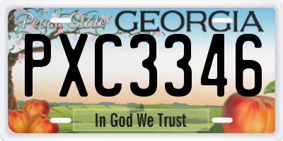 GA license plate PXC3346