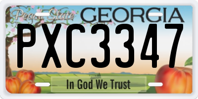 GA license plate PXC3347