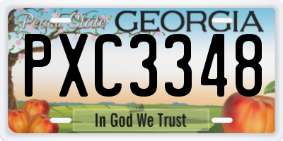 GA license plate PXC3348