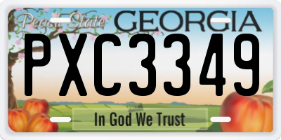 GA license plate PXC3349