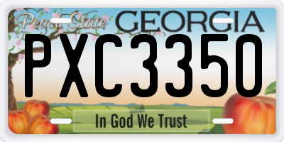 GA license plate PXC3350