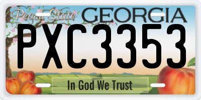 GA license plate PXC3353