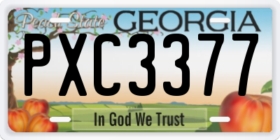 GA license plate PXC3377