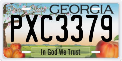 GA license plate PXC3379