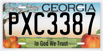 GA license plate PXC3387