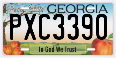 GA license plate PXC3390