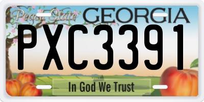 GA license plate PXC3391