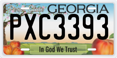 GA license plate PXC3393