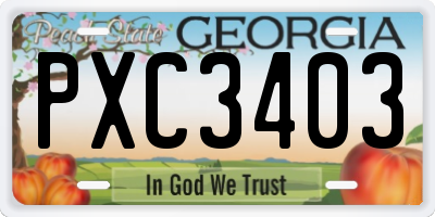 GA license plate PXC3403