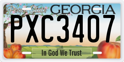 GA license plate PXC3407