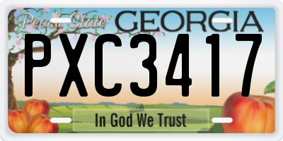 GA license plate PXC3417