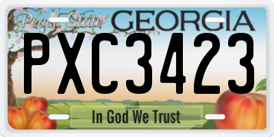 GA license plate PXC3423