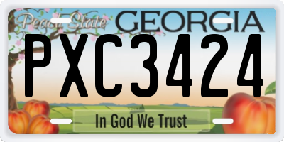 GA license plate PXC3424