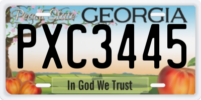 GA license plate PXC3445
