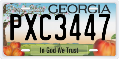 GA license plate PXC3447